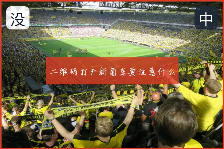 二维码打开新葡京要注意什么